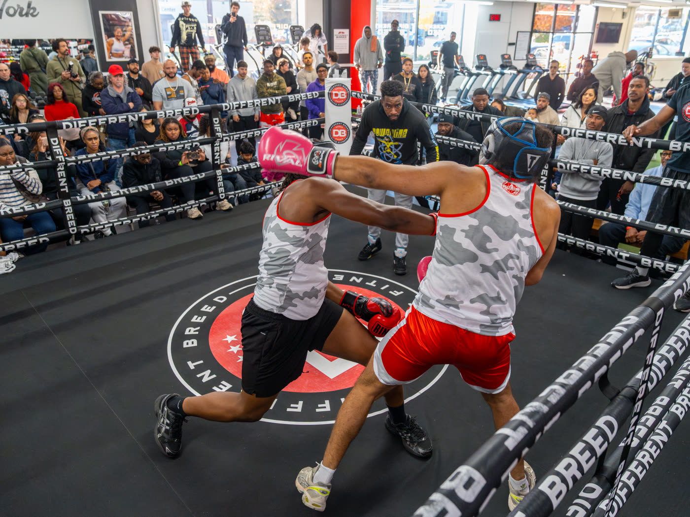 Blue Collar Boxing 2025, hand raised