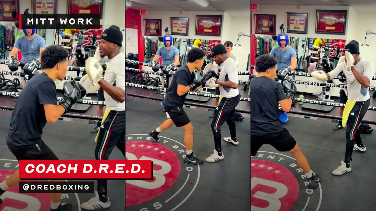 Coach D.R.E.D.'s room, Blue Collar 2026 fight camp