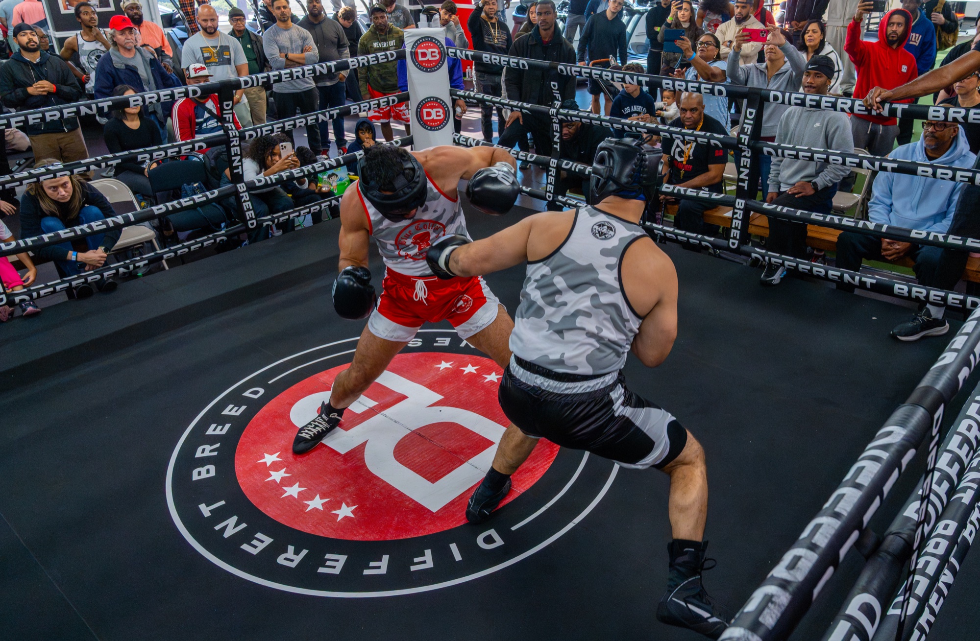 wall · FOOTWORK (1x2): boxing, sparring, athletes