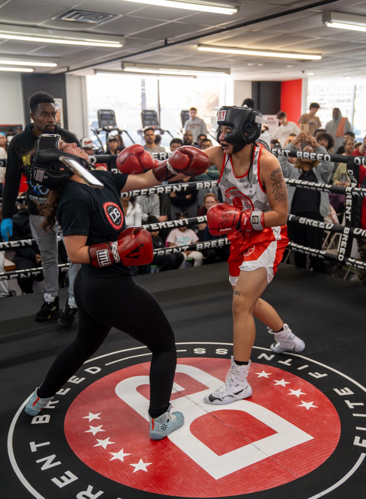 wall · SWEAT (1x2): boxing, sparring, gym