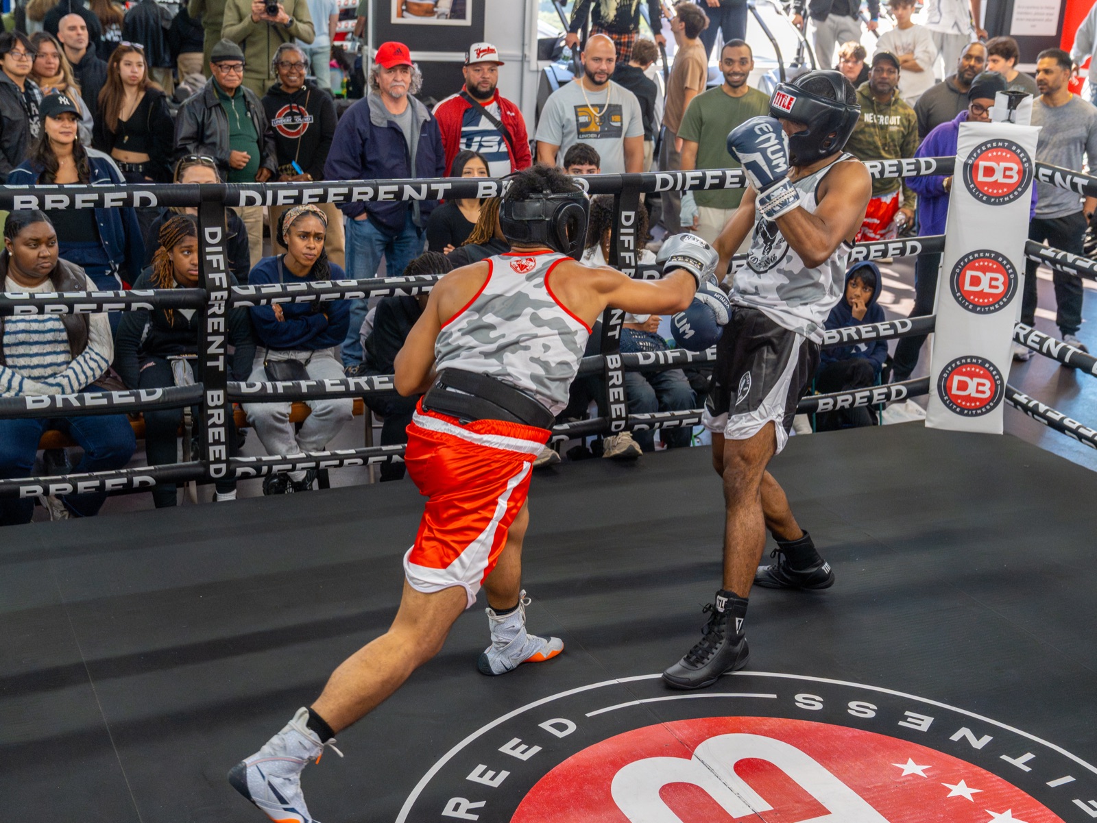 class grid · featured (red tile, position 1): boxing, sparring, gym